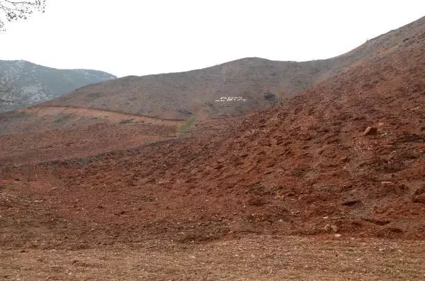ANTALYA YANAN ORMANLAR YEŞİLLENDİ ANTALYA YANAN ORMANLAR YEŞİLLENDİ