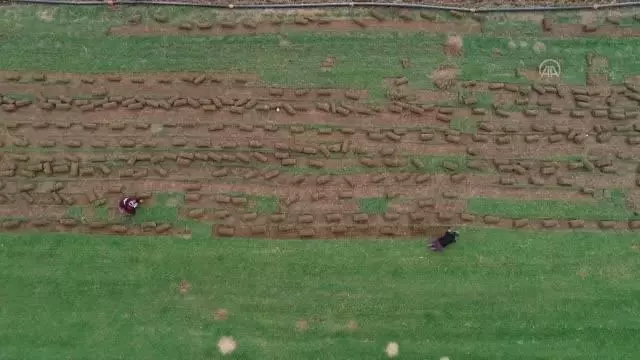 AFYONKARAHİSAR - Köyde ailece ürettikleri rulo çimleri amatör spor kulüplerine ve belediyelere satıyorlar AFYONKARAHİSAR - Köyde ailece ürettikleri rulo çimleri amatör spor kulüplerine ve belediyelere satıyorlar
