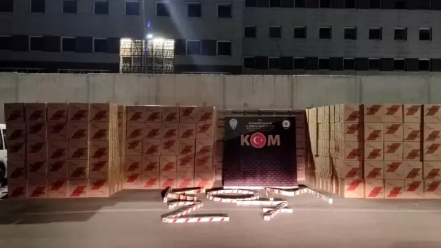 Gaziantep'te 5 milyon 930 bin makaron ele geçirildi Gaziantep'te 5 milyon 930 bin makaron ele geçirildi