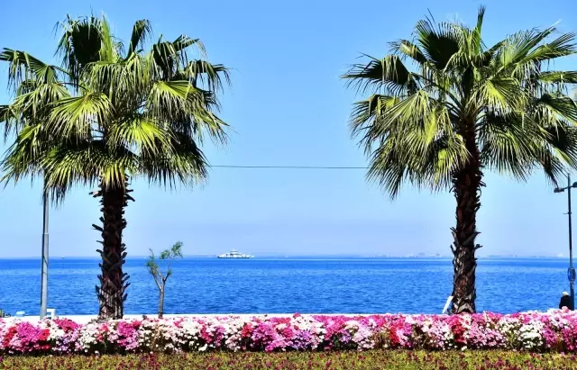 İzmir çiçek açtı İzmir çiçek açtı