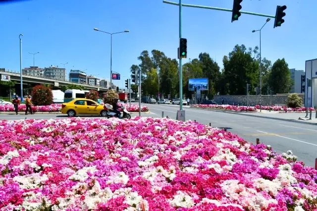 İzmir çiçek açtı İzmir çiçek açtı