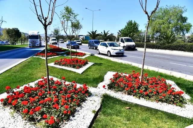 İzmir çiçek açtı İzmir çiçek açtı