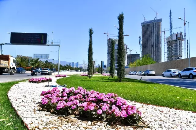 İzmir çiçek açtı İzmir çiçek açtı