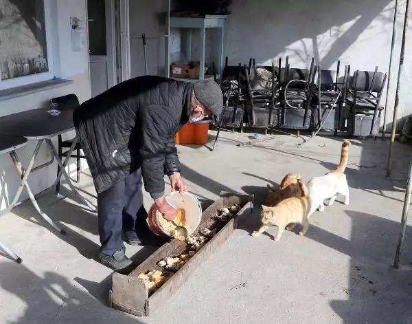 PANDEMİDE KAPANAN KAHVEHANESİNİ SOKAK HAYVANLARINA AÇTI PANDEMİDE KAPANAN KAHVEHANESİNİ SOKAK HAYVANLARINA AÇTI