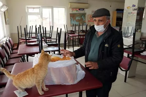 PANDEMİDE KAPANAN KAHVEHANESİNİ SOKAK HAYVANLARINA AÇTI PANDEMİDE KAPANAN KAHVEHANESİNİ SOKAK HAYVANLARINA AÇTI