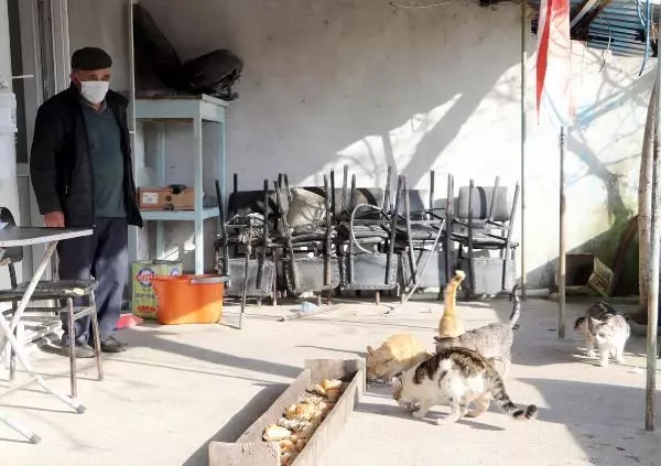 PANDEMİDE KAPANAN KAHVEHANESİNİ SOKAK HAYVANLARINA AÇTI PANDEMİDE KAPANAN KAHVEHANESİNİ SOKAK HAYVANLARINA AÇTI