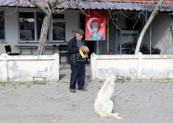 PANDEMİDE KAPANAN KAHVEHANESİNİ SOKAK HAYVANLARINA AÇTI PANDEMİDE KAPANAN KAHVEHANESİNİ SOKAK HAYVANLARINA AÇTI