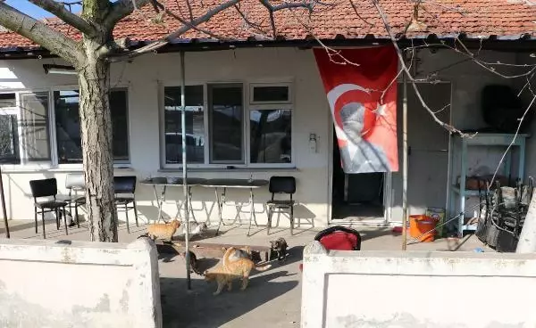 PANDEMİDE KAPANAN KAHVEHANESİNİ SOKAK HAYVANLARINA AÇTI PANDEMİDE KAPANAN KAHVEHANESİNİ SOKAK HAYVANLARINA AÇTI