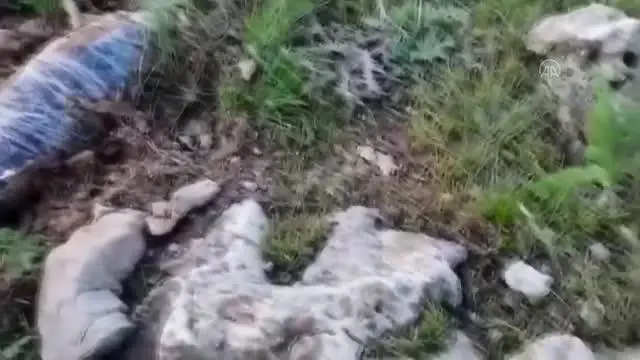 Son dakika haber... Pençe-Şimşek ve Pençe-Yıldırım operasyonlarında EYP, silah ve mühimmat ele geçirildi Son dakika haber... Pençe-Şimşek ve Pençe-Yıldırım operasyonlarında EYP, silah ve mühimmat ele geçirildi