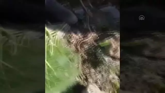Son dakika haber... Pençe-Şimşek ve Pençe-Yıldırım operasyonlarında EYP, silah ve mühimmat ele geçirildi Son dakika haber... Pençe-Şimşek ve Pençe-Yıldırım operasyonlarında EYP, silah ve mühimmat ele geçirildi