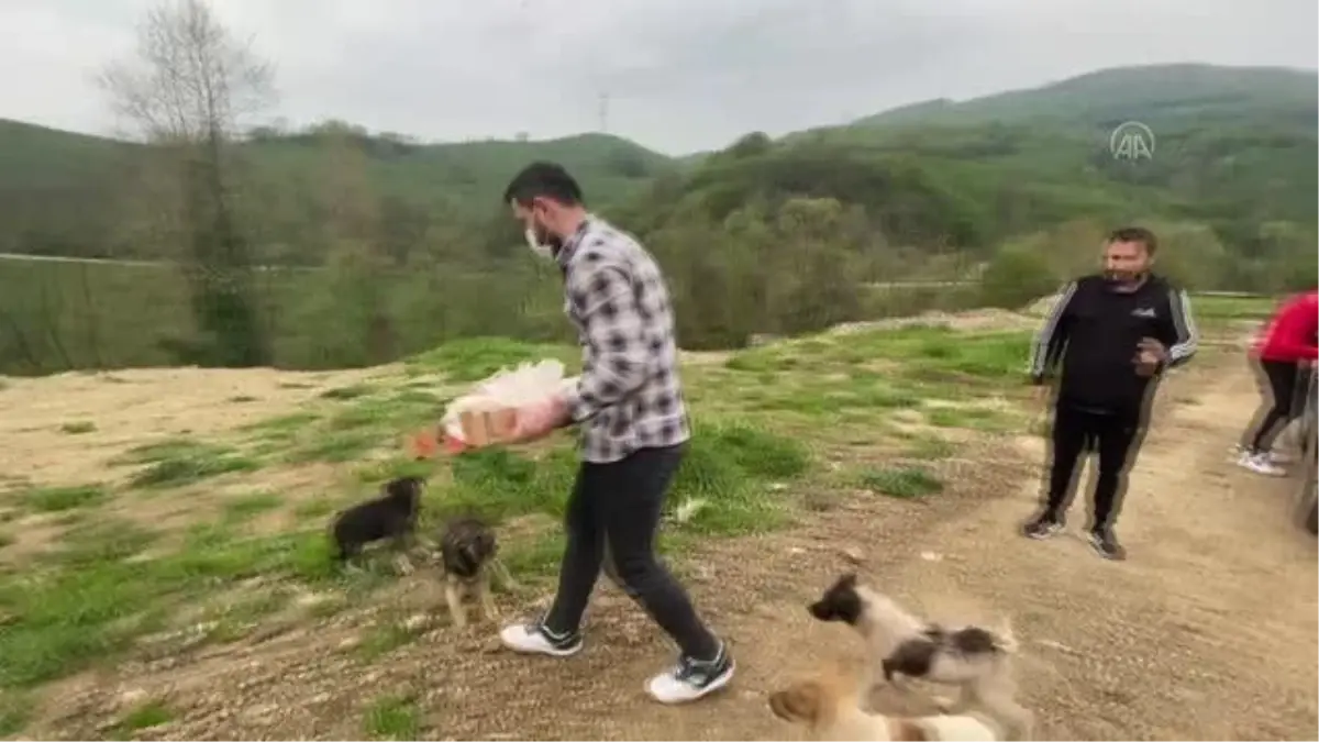 Sokak hayvanlarına yiyecek ulaştıran milli sporcular 'iyilik hareketi'yle örnek oluyor