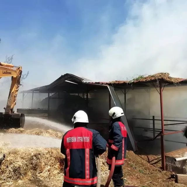 Yangında ahır ve samanlık kullanılamaz hale geldi