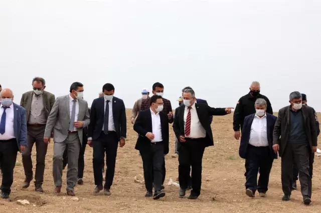 Afyonkarahisar'da yaklaşık 1 milyon metrekare alanda çörek otu ekimi yapıldı Afyonkarahisar'da yaklaşık 1 milyon metrekare alanda çörek otu ekimi yapıldı