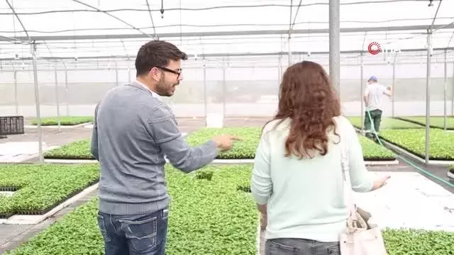 Aydın Büyükşehir Belediyesi üretici kadınlara destek olmaya devam ediyor Aydın Büyükşehir Belediyesi üretici kadınlara destek olmaya devam ediyor