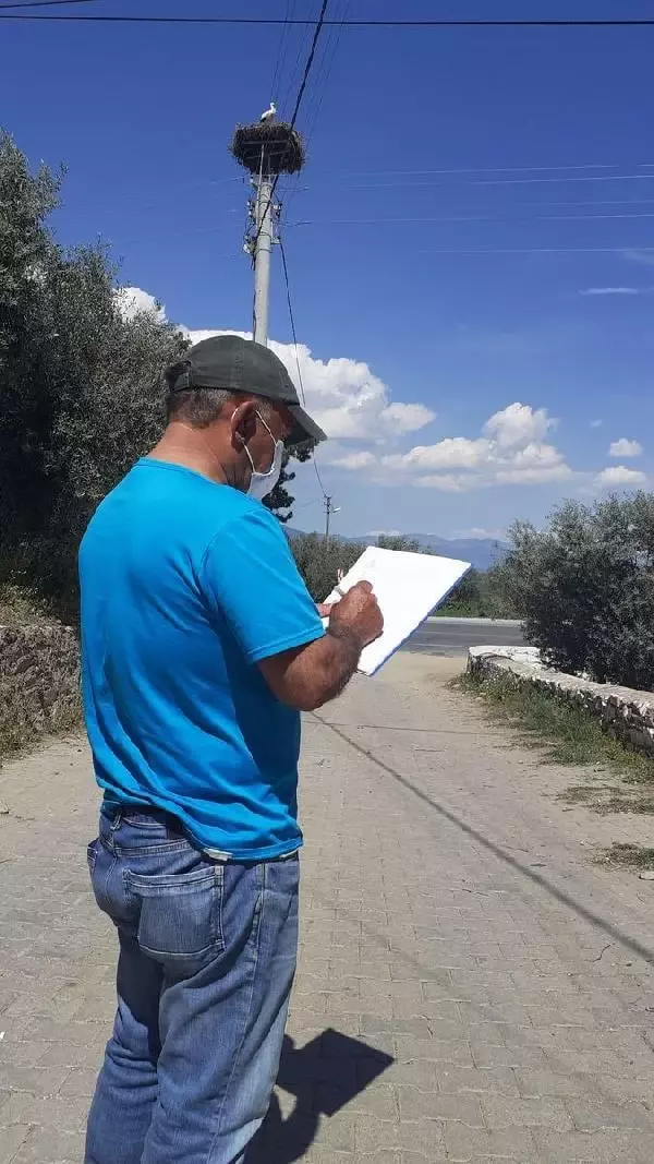 Aydın'da leylekler tek tek sayıldı Aydın'da leylekler tek tek sayıldı