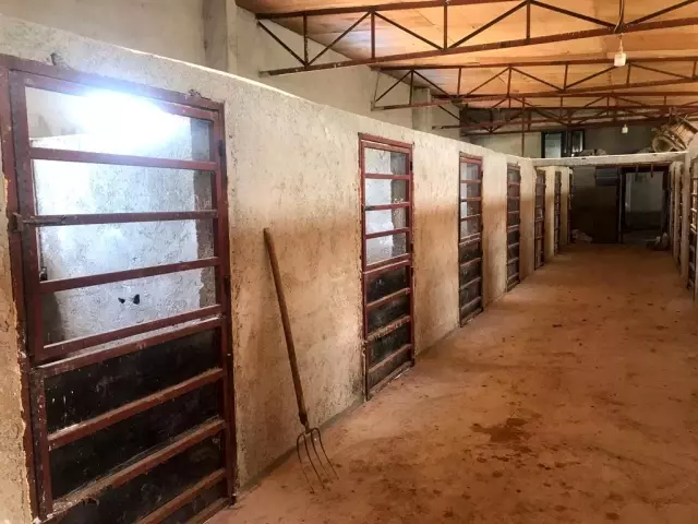 Hatay'da kaybolan 99 atla ilgili Adana'da bir ahırda arama yapıldı Hatay'da kaybolan 99 atla ilgili Adana'da bir ahırda arama yapıldı