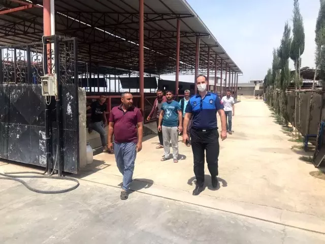 Hatay'da kaybolan 99 atla ilgili Adana'da bir ahırda arama yapıldı Hatay'da kaybolan 99 atla ilgili Adana'da bir ahırda arama yapıldı