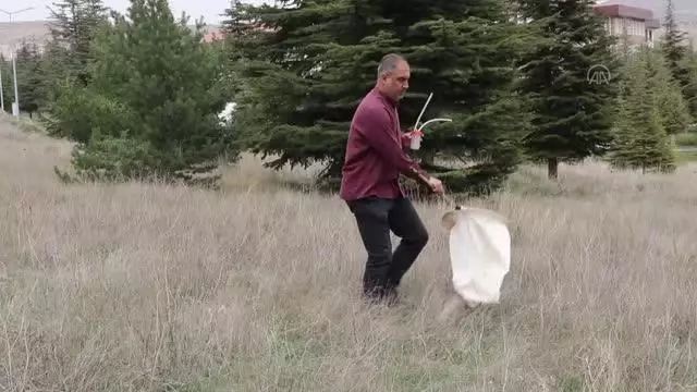 Huzura kavuşan dağlarda böceklerin izini süren akademisyen yeni türler tespit ediyor Huzura kavuşan dağlarda böceklerin izini süren akademisyen yeni türler tespit ediyor
