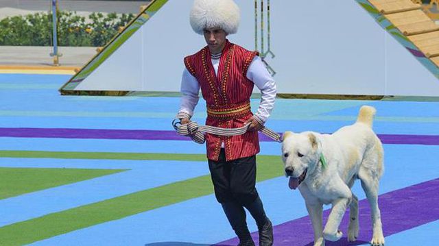 turkmenistan da yerli coban kopegi turu alabaylar 14091118 2784 o