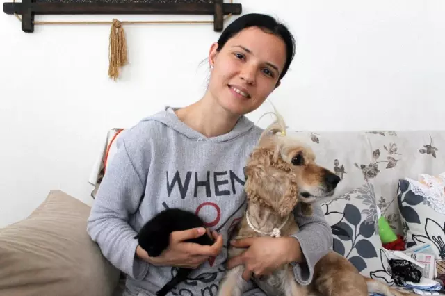 Yavru kediye, Lokum isimli köpek annelik yapıyor