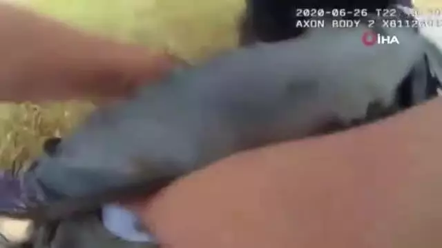 Son dakika! - ABD polisi, orantısız güç kullandığı demans hastası kadına yaptıklarını gülerek izledi