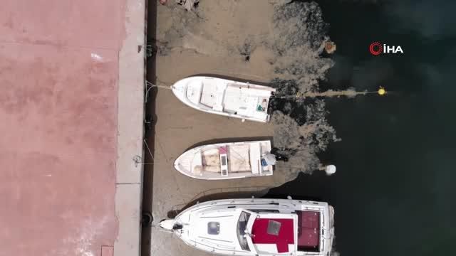 balikcilarin korkulu ruyasi izmit korfezi ni 2 14093431 o