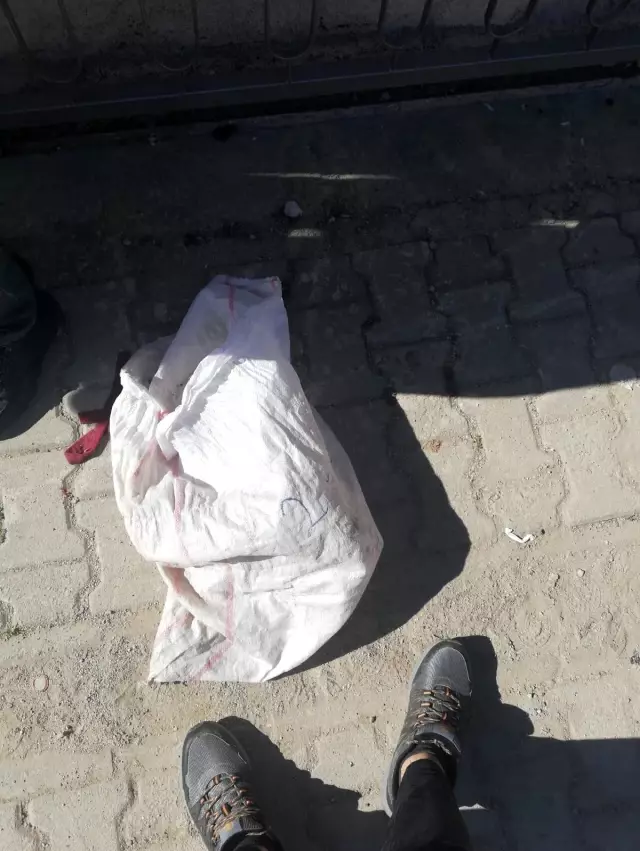 Bisikletten düşen ve üzerinden otomobil geçen çuvaldan köpek çıktı Bisikletten düşen ve üzerinden otomobil geçen çuvaldan köpek çıktı
