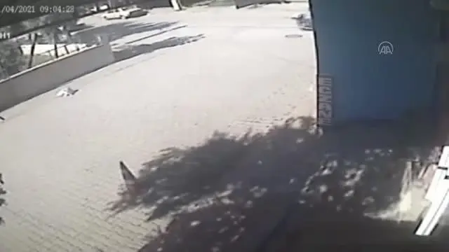 Bisikletten düşen ve üzerinden otomobil geçen çuvaldan köpek çıktı Bisikletten düşen ve üzerinden otomobil geçen çuvaldan köpek çıktı