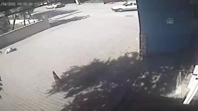 Bisikletten düşen ve üzerinden otomobil geçen çuvaldan köpek çıktı Bisikletten düşen ve üzerinden otomobil geçen çuvaldan köpek çıktı