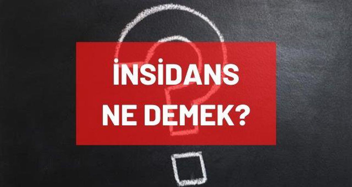 İnsidans nedir? İnsidans ne demek? İnsidans hızı ve haritası ne demek? İnsidans hangi dalda kullanılan bir kelimedir?