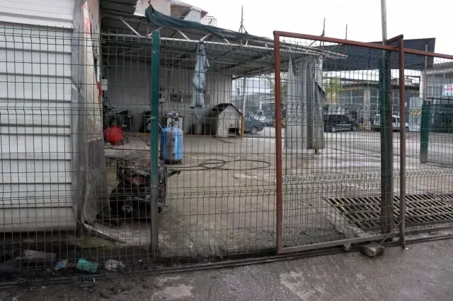 İş yerinin bahçesinden köpeği böyle çaldı