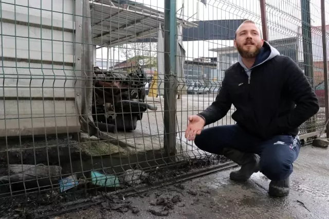 İş yerinin bahçesinden köpeği böyle çaldı