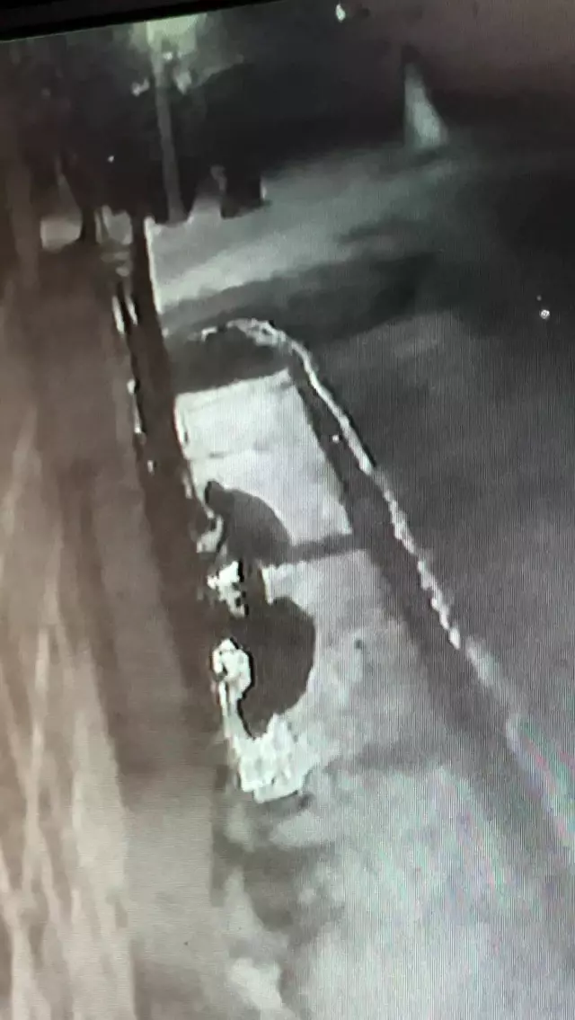 İş yerinin bahçesinden köpeği böyle çaldı