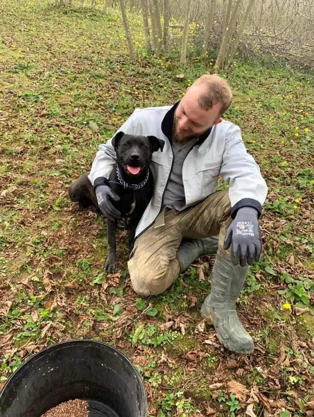 İş yerinin bahçesinden köpeği böyle çaldı