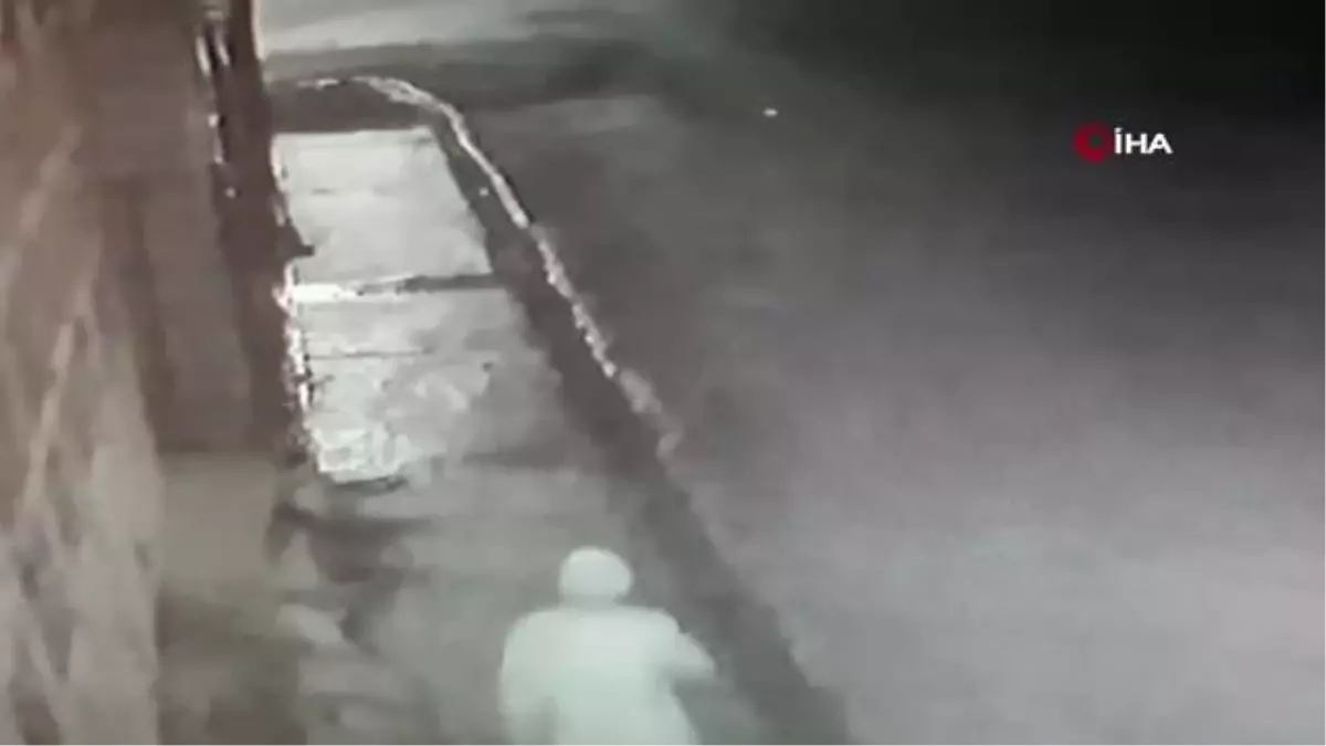 İş yerinin bahçesinden köpeği böyle çaldı