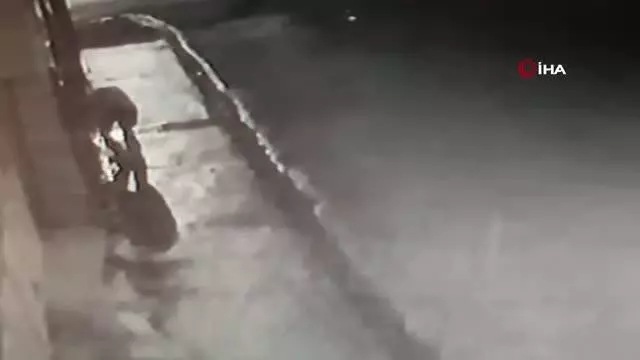 İş yerinin bahçesinden köpeği böyle çaldı