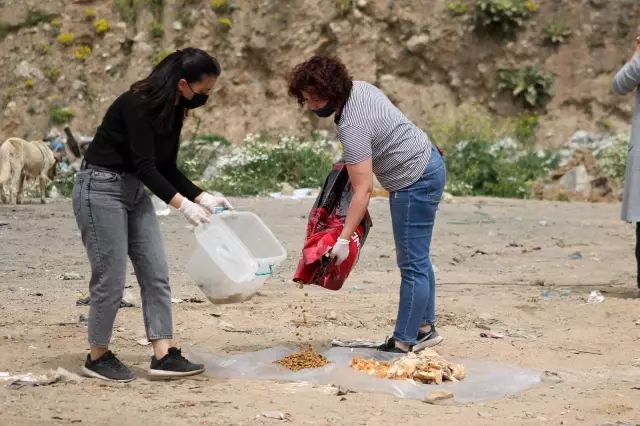Yıllardır can dostlarına umut oluyorlar Yıllardır can dostlarına umut oluyorlar