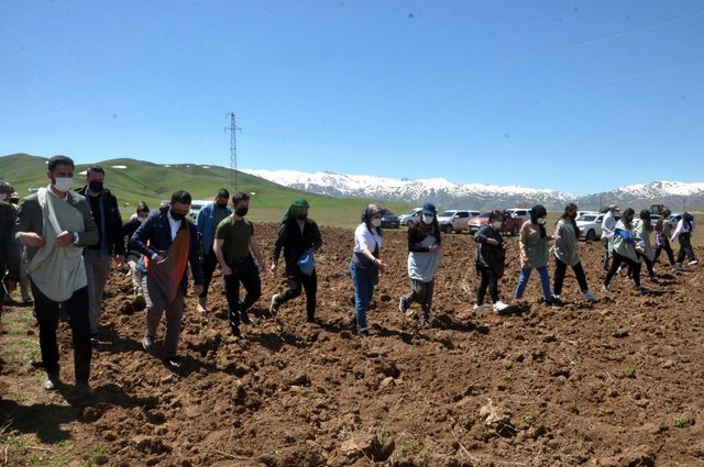 Yüksekova'da kadın eliyle ekim seferberliği Yüksekova'da kadın eliyle ekim seferberliği