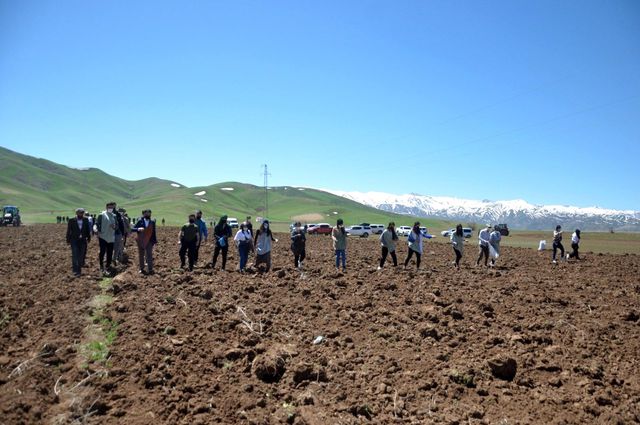 Yüksekova'da kadın eliyle ekim seferberliği Yüksekova'da kadın eliyle ekim seferberliği