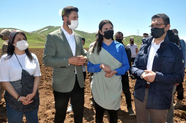 Yüksekova'da kadın eliyle ekim seferberliği Yüksekova'da kadın eliyle ekim seferberliği