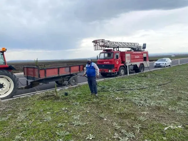 Arpaçay Belediyesi refüjleri ağaçlandıryor Arpaçay Belediyesi refüjleri ağaçlandıryor