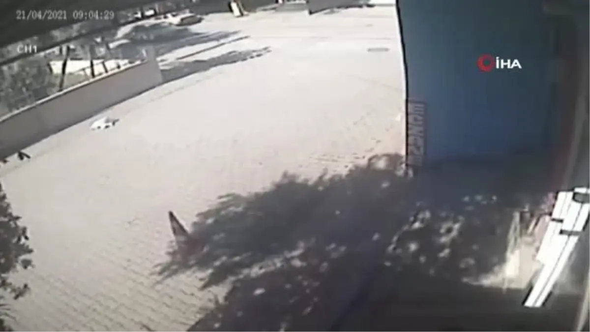 Bisikletten düşen çuvaldaki köpeğin üzerinden araç geçti... O anlar kamerada