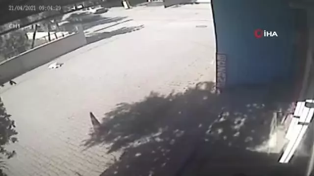 Bisikletten düşen çuvaldaki köpeğin üzerinden araç geçti... O anlar kamerada Bisikletten düşen çuvaldaki köpeğin üzerinden araç geçti... O anlar kamerada