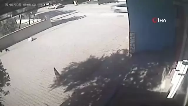 Bisikletten düşen çuvaldaki köpeğin üzerinden araç geçti... O anlar kamerada Bisikletten düşen çuvaldaki köpeğin üzerinden araç geçti... O anlar kamerada