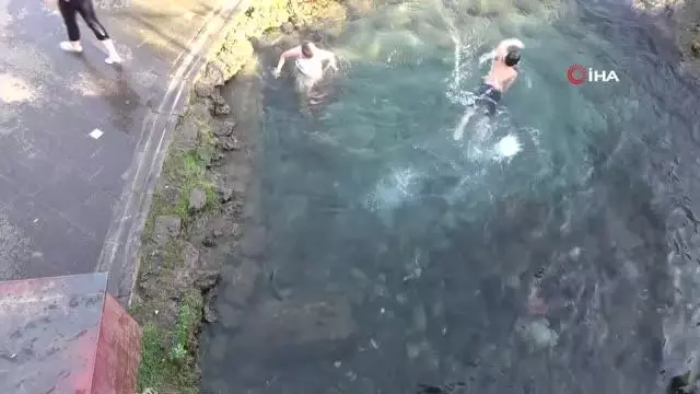 Bu da 'korona' havuzu...'Korona virüs bize işlemiyor' Bu da 'korona' havuzu...'Korona virüs bize işlemiyor'