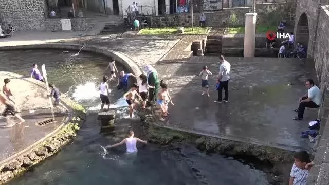 Bu da 'korona' havuzu...'Korona virüs bize işlemiyor' Bu da 'korona' havuzu...'Korona virüs bize işlemiyor'