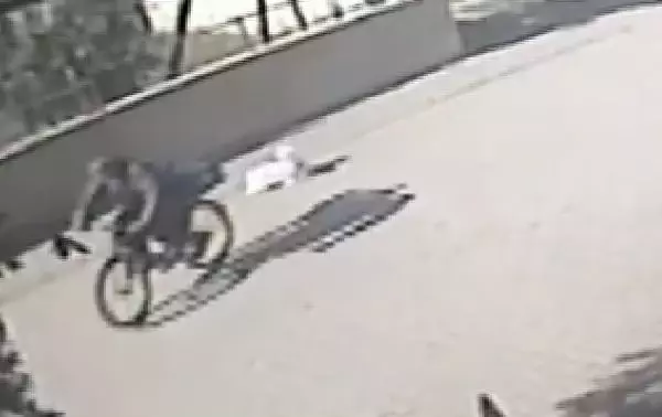Çuvaldaki köpeği yola düşüren bisikletli ve otomobiliyle ezen sürücüye para cezası Çuvaldaki köpeği yola düşüren bisikletli ve otomobiliyle ezen sürücüye para cezası