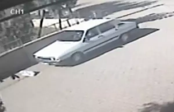 Çuvaldaki köpeği yola düşüren bisikletli ve otomobiliyle ezen sürücüye para cezası