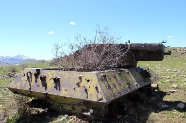 Dağ eteğindeki 70 yıllık tanklara doğa sahip çıkıyor Dağ eteğindeki 70 yıllık tanklara doğa sahip çıkıyor