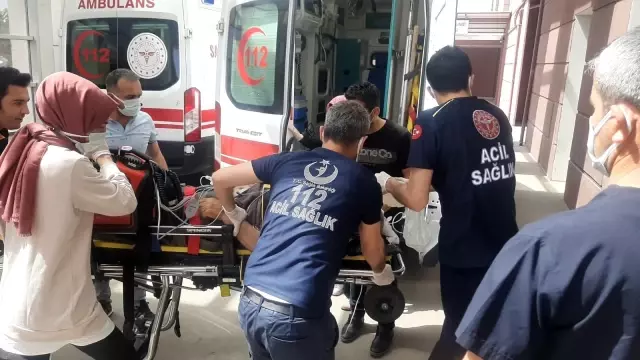 Hayvan yüklü kamyonet şarampole yuvarlandı: 1 ölü, 1 yaralı